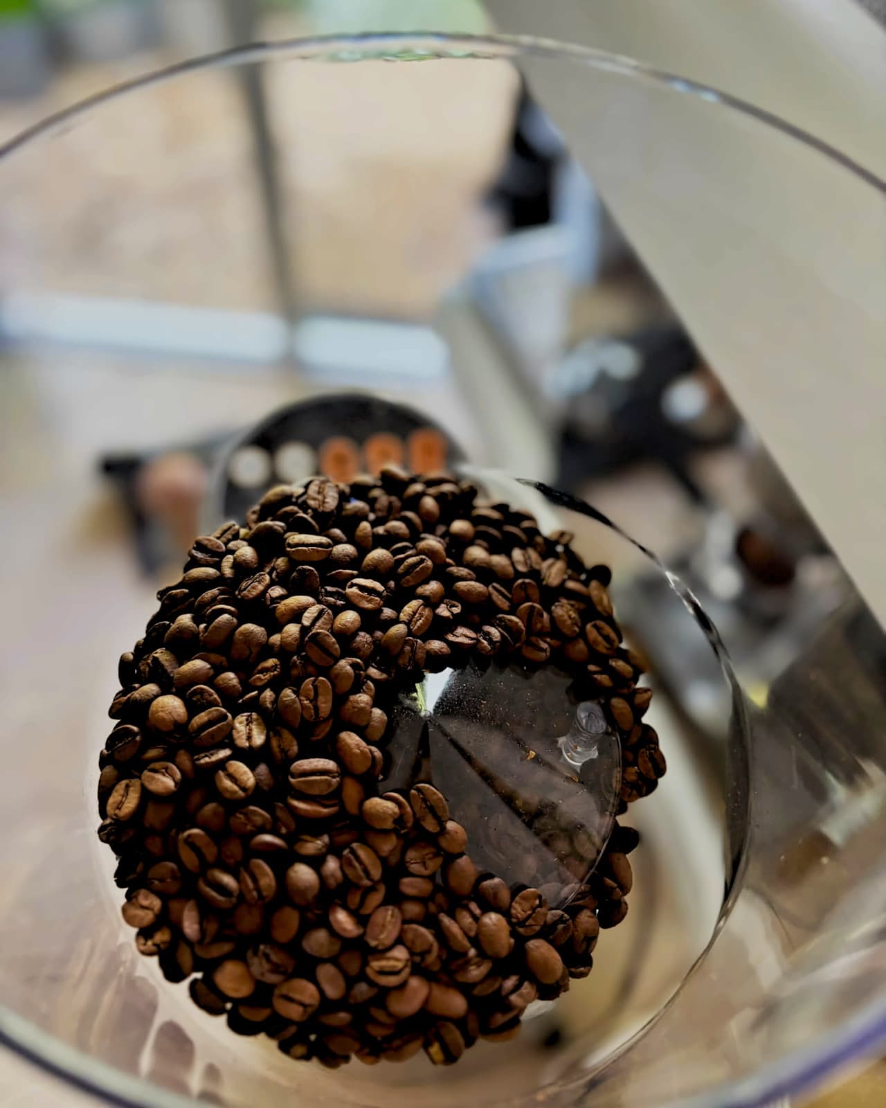 Freshly roasted coffee beans in the grinder hopper